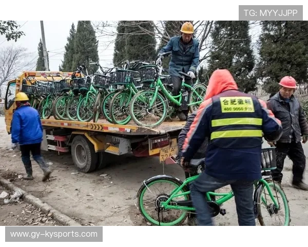 自行车产业链本土化趋势明显,自行车行业现状
